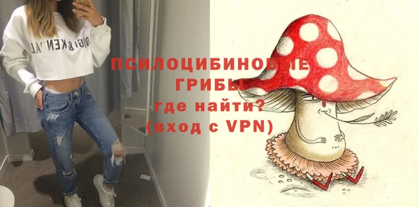 дурь Мегион