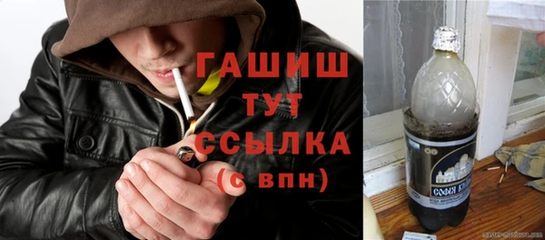 гидра Медвежьегорск