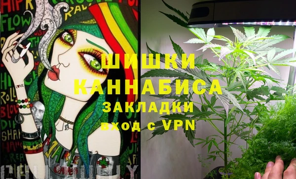 дурь Мегион
